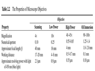 Comprehensive Overview of Microscopy: Types, Uses, and Care of ...