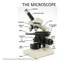 THE MICROSCOPE
http://biology.unm.edu/ccouncil/Biology_203/Summaries/Microscopes.htm
 