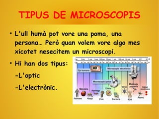 TIPUS DE MICROSCOPIS
●
L'ull humà pot vore una poma, una
persona… Però quan volem vore algo mes
xicotet nesecitem un microscopi.
●
Hi han dos tipus:
-L'optic
-L'electrònic.
 