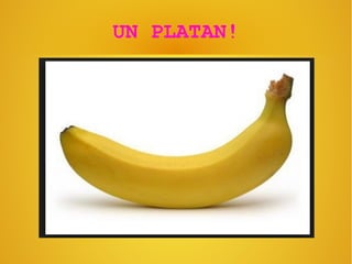 UN PLATAN!
 