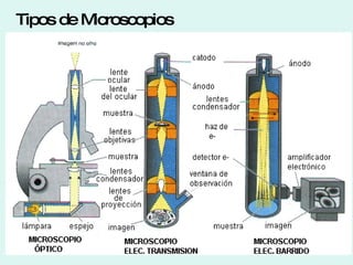Tipos de Microscopios 