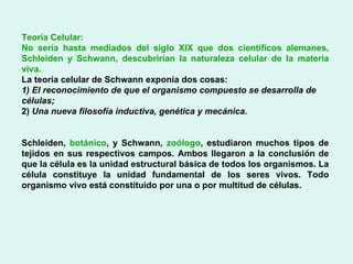 Teoría Celular: No sería hasta mediados del siglo XIX que dos científicos alemanes, Schleiden y Schwann, descubrirían la naturaleza celular de la materia viva. La teoría celular de Schwann exponía dos cosas: 1) El reconocimiento de que el organismo compuesto se desarrolla de células; 2)  Una nueva filosofía inductiva, genética y mecánica. Schleiden,  botánico , y Schwann,  zoólogo , estudiaron muchos tipos de tejidos en sus respectivos campos. Ambos llegaron a la conclusión de que la célula es la unidad estructural básica de todos los organismos. La célula constituye la unidad fundamental de los seres vivos. Todo organismo vivo está constituido por una o por multitud de células. 