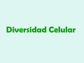 Diversidad Celular   