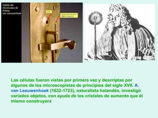 Las células fueron vistas por primera vez y descriptas por algunos de los microscopistas de principios del siglo XVII.  A. van Leeuwenhoek  (1632-1723), naturalista holandés, investigó variados objetos, con ayuda de los cristales de aumento que él mismo construyera 