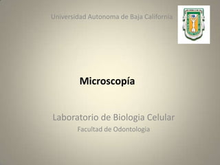 Universidad Autonoma de Baja California




         Microscopía


Laboratorio de Biologia Celular
        Facultad de Odontologia
 