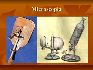 MicroscopiaMicroscopia
 