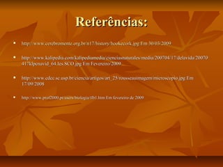 Referências:Referências:
 http://www.cerebromente.org.br/n17/history/hookecork.jpg Em 30/03/2009http://www.cerebromente.org.br/n17/history/hookecork.jpg Em 30/03/2009
 http://www.kalipedia.com/kalipediamedia/cienciasnaturales/media/200704/17/delavida/20070http://www.kalipedia.com/kalipediamedia/cienciasnaturales/media/200704/17/delavida/20070
417klpcnavid_64.Ies.SCO.jpg Em Fevereiro/2009417klpcnavid_64.Ies.SCO.jpg Em Fevereiro/2009
 http://www.cdcc.sc.usp.br/ciencia/artigos/art_25/rousseauimagem/microscopio.jpg Emhttp://www.cdcc.sc.usp.br/ciencia/artigos/art_25/rousseauimagem/microscopio.jpg Em
17/09/200817/09/2008
 http://www.prof2000.pt/users/biologia/tlb1.htm Em fevereiro de 2009http://www.prof2000.pt/users/biologia/tlb1.htm Em fevereiro de 2009
 