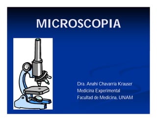 MICROSCOPIA
Dra. Anahí Chavarría Krauser
Medicina Experimental
Facultad de Medicina, UNAM