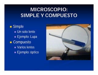 MICROSCOPIO:
SIMPLE Y COMPUESTO
Simple
Un solo lente
Ejemplo: Lupa
Compuesto
Varios lentes
Ejemplo: óptico