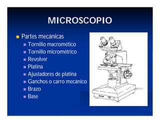 MICROSCOPIO
Partes mecánicas
Tornillo macromético
Tornillo micrométrico
Revolver
Platina
Ajustadores de platina
Ganchos o carro mecánico
Brazo
Base