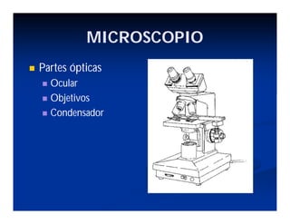 MICROSCOPIO
Partes ópticas
Ocular
Objetivos
Condensador