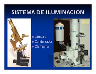 SISTEMA DE ILUMINACIÓN
Lámpara
Condensador
Diafragma