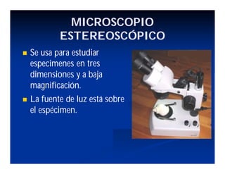 MICROSCOPIO
ESTEREOSCÓPICO
Se usa para estudiar
especimenes en tres
dimensiones y a baja
magnificación.
La fuente de luz está sobre
el espécimen.