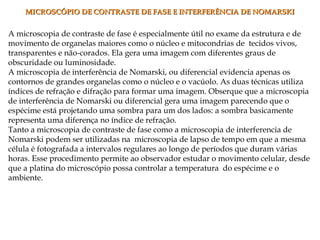 A microscopia de contraste de fase é especialmente útil no exame da estrutura e de
movimento de organelas maiores como o núcleo e mitocondrias de tecidos vivos,
transparentes e não-corados. Ela gera uma imagem com diferentes graus de
obscuridade ou luminosidade.
A microscopia de interferência de Nomarski, ou diferencial evidencia apenas os
contornos de grandes organelas como o núcleo e o vacúolo. As duas técnicas utiliza
índices de refração e difração para formar uma imagem. Obserque que a microscopia
de interferência de Nomarski ou diferencial gera uma imagem parecendo que o
espécime está projetando uma sombra para um dos lados: a sombra basicamente
representa uma diferença no índice de refração.
Tanto a microscopia de contraste de fase como a microscopia de interferencia de
Nomarski podem ser utilizadas na microscopia de lapso de tempo em que a mesma
célula é fotografada a intervalos regulares ao longo de períodos que duram várias
horas. Esse procedimento permite ao observador estudar o movimento celular, desde
que a platina do microscópio possa controlar a temperatura do espécime e o
ambiente.
MICROSCÓPIO DE CONTRASTE DE FASE E INTERFERÊNCIA DE NOMARSKIMICROSCÓPIO DE CONTRASTE DE FASE E INTERFERÊNCIA DE NOMARSKI
 