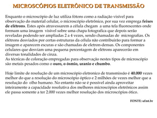Enquanto o microscópio de luz utiliza fótons como a radiação visível para
observação do material celular, o microscópio eletrônico, por sua vez emprega feixes
de elétrons. Estes após atravessarem a célula chegam a uma tela fluorescentes onde
formam uma imagem visível sobre uma chapa fotografica que depois serão
reveladas podendo ser ampliadas 2 a 4 vezes, sendo chamadas de micrografias. Os
elétrons desviados por certas estruturas da célula não contribuirão para formar a
imagem e aparecem escuras e são chamadas de eletron-densas. Os componentes
celulares que desviam uma pequena percentagem de elétrons aparecerão em
diversas tonalidades de cinza.
As técnicas de coloração empregadas para observação nestes tipos de microscópio
são metais pesados como o ouro, o ósmio, uranio e chumbo.
Hoje limite de resolução de um microscópio eletronico de transmissão é 40.000 vezes
melhor do que a resolução do microscópio óptico e 2 milhões de vezes melhor que a
resolução do olho humano. No entanto não se é possível ainda aproveitar
inteiramente a capacidade resolutiva dos melhores microscópios eletrônicos assim
ele passa somente a ter 2.000 vezes melhor resolução dos microscópios ótico.
FONTE: ufmt.br
MICROSCÓPIOS ELETRÔNICO DE TRANSMISSÃOMICROSCÓPIOS ELETRÔNICO DE TRANSMISSÃO
 