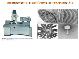 MICROSCÓPIOS ELETRÔNICO DE TRANSMISSÃOMICROSCÓPIOS ELETRÔNICO DE TRANSMISSÃO
 