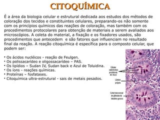 É a área da biologia celular e estrutural dedicada aos estudos dos métodos de
coloração dos tecidos e constituintes celulares, preparando-os não somente
com os princípios químicos das reações de coloração, mas também com os
procedimentos protocolares para obtenção de materiais a serem avaliados aos
microscópios. A coleta do material, a fixação e os fixadores usados, são
procedimentos que antecedem e são fatores que influenciam no resultado
final da reação. A reação citoquímica é específica para o composto celular, que
podem ser:
• Os ácidos nucléicos - reação de Feulgen.
• Os polissacarídeo e oligossacarídeo – PAS.
• Os lipídios – Sudan IV, Sudan back e Azul de Toluidina.
• Os íons - reações químicas.
• Proteínas – fosfatases.
• Citoquímica ultra-estrutural - sais de metais pesados.
CITOQUÍMICACITOQUÍMICA
 