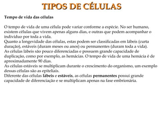 TIPOS DE CÉLULASTIPOS DE CÉLULAS
Tempo de vida das células
O tempo de vida de uma célula pode variar conforme a espécie. No ser humano,
existem células que vivem apenas alguns dias, e outras que podem acompanhar o
indivíduo por toda a vida.
Quanto a longevidade das células, estas podem ser classificadas em lábeis (curta
duração), estáveis (duram meses ou anos) ou permanentes (duram toda a vida).
As células lábeis são pouco diferenciadas e possuem grande capacidade de
duplicação, como por exemplo, as hemácias. O tempo de vida de uma hemácia é de
aproximadamente 90 dias.
As células estáveis se multiplicam durante o crescimento do organismo, um exemplo
dessas células são as epiteliais.
Diferente das células lábeis e estáveis, as células permanentes possui grande
capacidade de diferenciação e se multiplicam apenas na fase embrionária.
 