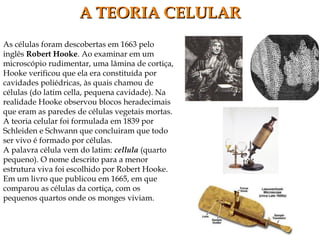 As células foram descobertas em 1663 pelo
inglês Robert Hooke. Ao examinar em um
microscópio rudimentar, uma lâmina de cortiça,
Hooke verificou que ela era constituída por
cavidades poliédricas, às quais chamou de
células (do latim cella, pequena cavidade). Na
realidade Hooke observou blocos heradecimais
que eram as paredes de células vegetais mortas.
A teoria celular foi formulada em 1839 por
Schleiden e Schwann que concluiram que todo
ser vivo é formado por células.
A palavra célula vem do latim: cellula (quarto
pequeno). O nome descrito para a menor
estrutura viva foi escolhido por Robert Hooke.
Em um livro que publicou em 1665, em que
comparou as células da cortiça, com os
pequenos quartos onde os monges viviam.
A TEORIA CELULARA TEORIA CELULAR
 