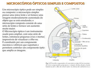 MICROSCÓPIOS ÓPTICOS SIMPLES E COMPOSTOSMICROSCÓPIOS ÓPTICOS SIMPLES E COMPOSTOS
1. Ocular
2. Objetivas e revólver
3. Platina
4. Charriot
5. Macrométrico
6. Micrométrico
7. Diafragma e
condensador
8. Espelho
9. Braço
10. Base
Um microscópio óptico pode ser simples
ou composto: o microscópio simples
possui uma única lente e só fornece uma
imagem moderadamente aumentada do
objeto que se está estudando; o
microscópio composto consiste de uma
série de lentes e fornece um aumento
muito maior.
O Microscópio óptico é um instrumento
usado para ampliar, com uma série de
lentes, estruturas pequenas (vias e mortas)
impossíveis de visualizar a olho nu.
É constituído por um componente
mecânico e elétricos que suportam e
permitem controlar um componente óptico
que amplia as imagens.
 