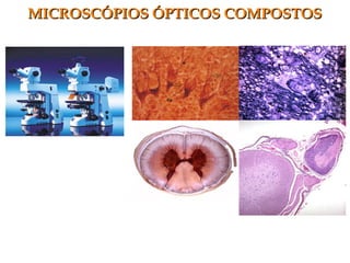 MICROSCÓPIOS ÓPTICOS COMPOSTOSMICROSCÓPIOS ÓPTICOS COMPOSTOS
 