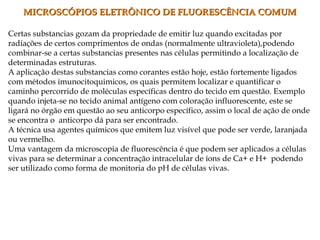 Certas substancias gozam da propriedade de emitir luz quando excitadas por
radiações de certos comprimentos de ondas (normalmente ultravioleta),podendo
combinar-se a certas substancias presentes nas células permitindo a localização de
determinadas estruturas.
A aplicação destas substancias como corantes estão hoje, estão fortemente ligados
com métodos imunocitoquimicos, os quais permitem localizar e quantificar o
caminho percorrido de moléculas específicas dentro do tecido em questão. Exemplo
quando injeta-se no tecido animal antígeno com coloração influorescente, este se
ligará no órgão em questão ao seu anticorpo específico, assim o local de ação de onde
se encontra o anticorpo dá para ser encontrado.
A técnica usa agentes químicos que emitem luz visível que pode ser verde, laranjada
ou vermelho.
Uma vantagem da microscopia de fluorescência é que podem ser aplicados a células
vivas para se determinar a concentração intracelular de íons de Ca+ e H+ podendo
ser utilizado como forma de monitoria do pH de células vivas.
MICROSCÓPIOS ELETRÔNICO DE FLUORESCÊNCIA COMUMMICROSCÓPIOS ELETRÔNICO DE FLUORESCÊNCIA COMUM
 