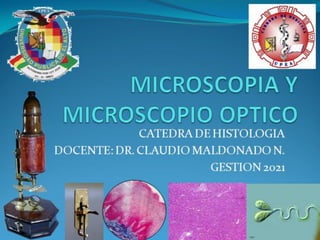 MICROSCOPIA-21 DR.MALDONADO(zoom2) (1).pdf