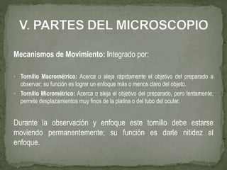 Mecanismos de Movimiento: Integrado por:
• Tornillo Macrométrico: Acerca o aleja rápidamente el objetivo del preparado a
observar; su función es lograr un enfoque más o menos claro del objeto.
• Tornillo Micrométrico: Acerca o aleja el objetivo del preparado, pero lentamente,
permite desplazamientos muy finos de la platina o del tubo del ocular.
Durante la observación y enfoque este tornillo debe estarse
moviendo permanentemente; su función es darle nitidez al
enfoque.
 