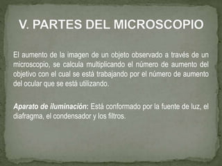 El aumento de la imagen de un objeto observado a través de un
microscopio, se calcula multiplicando el número de aumento del
objetivo con el cual se está trabajando por el número de aumento
del ocular que se está utilizando.
Aparato de iluminación: Está conformado por la fuente de luz, el
diafragma, el condensador y los filtros.
 
