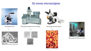 Os novos microscópios
Microscópio de luz Microscópio eletrônico de transmissão Microscópio de fluorescência
Microscópio eletrônico varredura
 