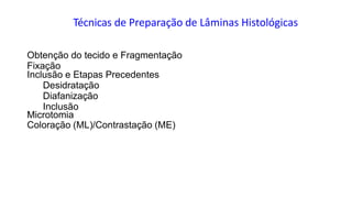 Técnicas de Preparação de Lâminas Histológicas
Obtenção do tecido e Fragmentação
Fixação
Inclusão e Etapas Precedentes
Desidratação
Diafanização
Inclusão
Microtomia
Coloração (ML)/Contrastação (ME)
 