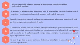 A
B
C
D
E
Si la muestra es líquida colocamos unas gotas de la muestra en el centro del portaobjetos
con la ayuda de una pipeta.
Si la muestra es sólida colocamos primero unas gotas de agua destilada o de solución salina sobre el
portaobjetos y a continuación un fragmento de la muestra con la ayuda de unas pinzas.
Sujetando el cubreobjetos por dos de sus lados, apoyamos otro de sus lados sobre el portaobjetos de modo
que forme un ángulo de aproximadamente 45 grados.
A continuación, podemos soltar con cuidado el cubreobjetos de modo que quede colocado sobre el líquido
que hemos depositado anteriormente. (Mediante este procedimiento se evita la formación de burbujas dentro
de la muestra. En caso de que hayan aparecido burbujas entre el portaobjetos y el cubreobjetos será necesario
repetir el procedimiento anterior.)
En caso de que haya un exceso de líquido alrededor del cubreobjetos podemos eliminarlo
mediante papel absorbente.
 