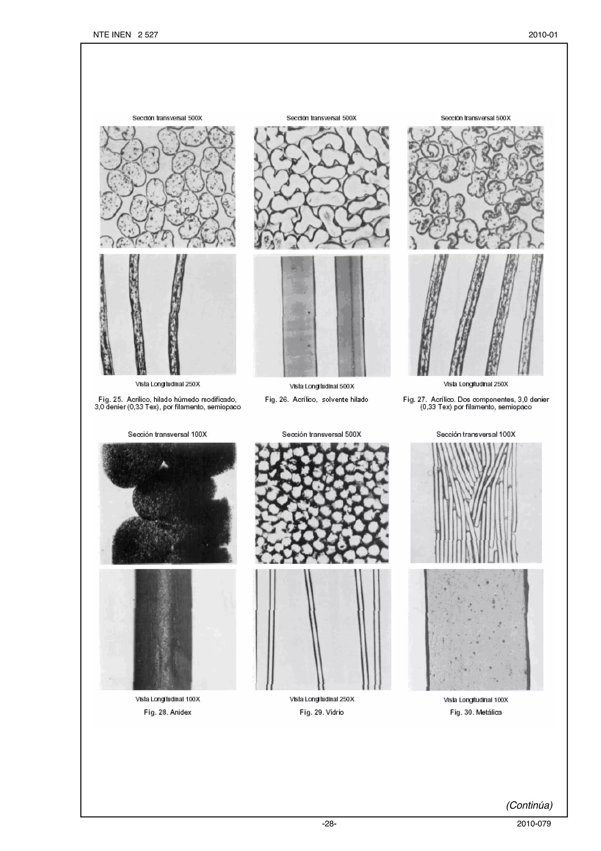 microscopia-de-fibras-pdf