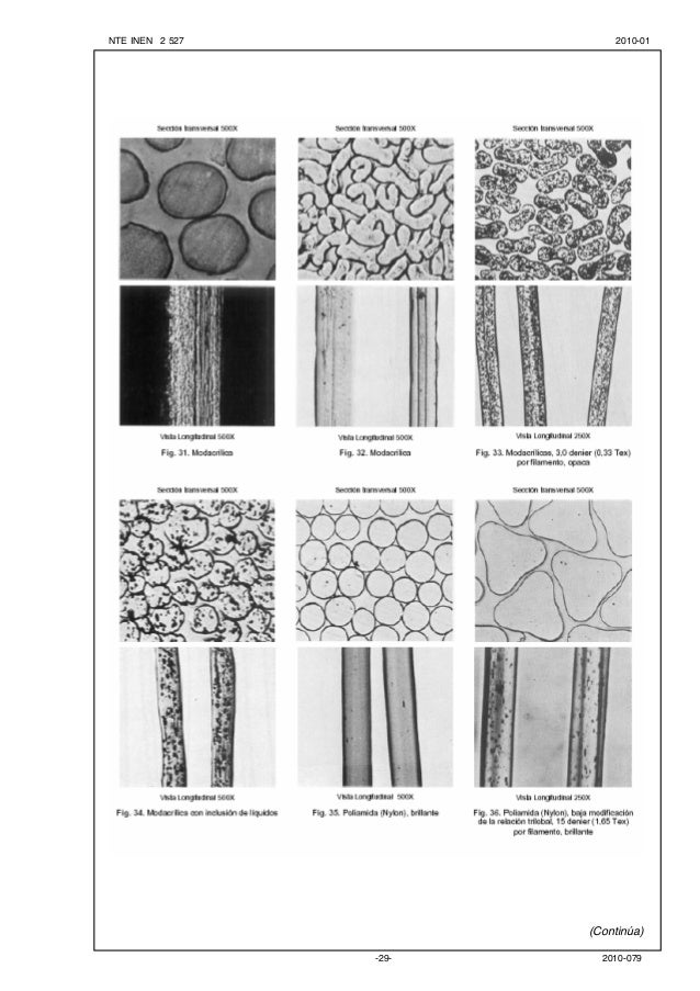microscopia-de-fibras