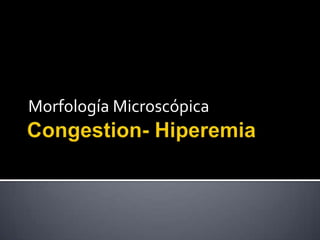 Morfología Microscópica
 