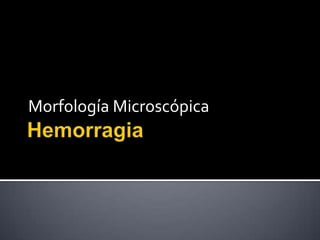 Morfología Microscópica
 