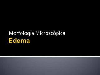 Morfología Microscópica
 