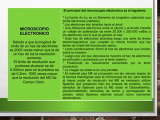 MICROSCOPIO
ELECTRONICO
Debido a que la longitud de
onda de un haz de electrones
es 2000 veces menor que la de
un haz de luz la resolución
aumenta.
El limite de resolución que
pudiesse alcanzar es de
0.005nm pero en la práctica es
de 0.2nm, 1000 veces mayor
que la resolución del MO de
Campo Claro.
El principio del microscopio eléctronico es el siguiente:
* La fuente de luz es un filamento de tungsteno calentado que
emite electrones (cátodos).
* Los electrones son atraidos hacia el ánod.
* Una diferencia eléctronica entre el cátodo y el ánodo imparte
un voltaje de aceleración de entre 20.000 y 200.000 voltios a
los eléctrones con lo que se genera un haz.
* Este haz de eléctrones atraviesa luego una serie de lentes
electromagneticos que cumplen la misma función que las
lentes de cristal del microscopio óptico.
* Lente condensadora: forma el haz de electrones que inciden
sobre la muestra.
* Luego una vez que atraviesa la muestra el haz de eléctrones
es enfocado y aumentado por el lente objetivo.
* Finalmente es nuevamente aumentado por la lente
proyectora.
* La imagen se observa en una pantalla.
* El material para ME es procesado con las mismas etapas de
la técnica histológicas para la microscopia de luz, pero debido
al mayor poder de resolución del ME es necesario utilizar
fijadores que preserven bien los enlaces de proteina. como
ejemplos de fijadores para la ME estan el Glutaraldehido,
paraformaldehido, tetroxidos de osmio y permaganato de
potasio. estos fijadores además actuan como colorantes
electrodenso.
 