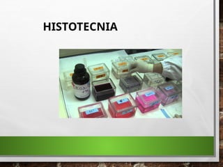HISTOTECNIA
 