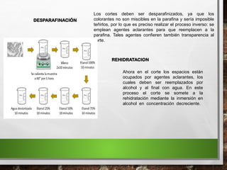 DESPARAFINACIÓN
Los cortes deben ser desparafinizados, ya que los
colorantes no son miscibles en la parafina y sería imposible
teñirlos, por lo que es preciso realizar el proceso inverso: se
emplean agentes aclarantes para que reemplacen a la
parafina. Tales agentes confieren también transparencia al
corte.
Ahora en el corte los espacios están
ocupados por agentes aclarantes, los
cuales deben ser reemplazados por
alcohol y al final con agua. En este
proceso el corte se somete a la
rehidratación mediante la inmersión en
alcohol en concentración decreciente.
REHIDRATACION
 