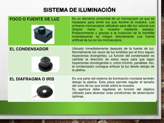 SISTEMA DE ILUMINACIÓN
FOCO O FUENTE DE LUZ Es un elemento primordial de un microscopio ya que es
necesario para emitir luz que ilumine la muestra. Los
primeros microscopios utilizaban para ello luz natural que
dirigían hacia la muestra mediante espejos.
Posteriormente y gracias a la invención de la bombilla
incandescente se integró directamente una fuente
artificial de luz en los microscopios.
EL CONDENSADOR Ubicado inmediatamente después de la fuente de luz.
Normalmente los rayos de luz emitidos por el foco siguen
trayectorias divergentes. La función del condensador es
cambiar la dirección de estos rayos para que sigan
trayectorias convergentes o, como mínimo, paralelas. Así,
el condensador consigue enfocar la luz desde debajo de
la platina.
EL DIAFRAGMA O IRIS Es una parte del sistema de iluminación montada también
debajo la platina. Esta pieza permite regular el tamaño
del cono de luz que incide sobre la muestra.
Su apertura debe regularse en función del objetivo
utilizado para alcanzar unas condiciones de observación
óptimas.
 