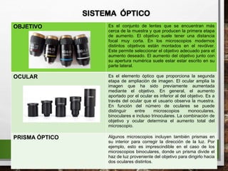 SISTEMA ÓPTICO
OBJETIVO Es el conjunto de lentes que se encuentran más
cerca de la muestra y que producen la primera etapa
de aumento. El objetivo suele tener una distancia
focal muy corta. En los microscopios modernos
distintos objetivos están montados en el revólver.
Este permite seleccionar el objetivo adecuado para el
aumento deseado. El aumento del objetivo junto con
su apertura numérica suele estar estar escrito en su
parte lateral.
OCULAR Es el elemento óptico que proporciona la segunda
etapa de ampliación de imagen. El ocular amplia la
imagen que ha sido previamente aumentada
mediante el objetivo. En general, el aumento
aportado por el ocular es inferior al del objetivo. Es a
través del ocular que el usuario observa la muestra.
En función del número de oculares se puede
distinguir entre microscopios monoculares,
binoculares e incluso trinoculares. La combinación de
objetivo y ocular determina el aumento total del
microscopio.
PRISMA ÓPTICO Algunos microscopios incluyen también prismas en
su interior para corregir la dirección de la luz. Por
ejemplo, esto es imprescindible en el caso de los
microscopios binoculares, donde un prisma divide el
haz de luz proveniente del objetivo para dirigirlo hacia
dos oculares distintos.
 