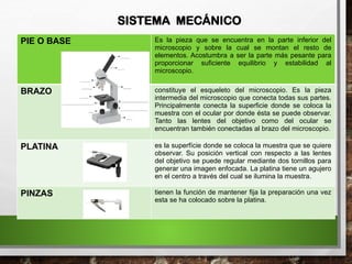 SISTEMA MECÁNICO
PIE O BASE Es la pieza que se encuentra en la parte inferior del
microscopio y sobre la cual se montan el resto de
elementos. Acostumbra a ser la parte más pesante para
proporcionar suficiente equilibrio y estabilidad al
microscopio.
BRAZO constituye el esqueleto del microscopio. Es la pieza
intermedia del microscopio que conecta todas sus partes.
Principalmente conecta la superficie donde se coloca la
muestra con el ocular por donde ésta se puede observar.
Tanto las lentes del objetivo como del ocular se
encuentran también conectadas al brazo del microscopio.
PLATINA es la superfície donde se coloca la muestra que se quiere
observar. Su posición vertical con respecto a las lentes
del objetivo se puede regular mediante dos tornillos para
generar una imagen enfocada. La platina tiene un agujero
en el centro a través del cual se ilumina la muestra.
PINZAS tienen la función de mantener fija la preparación una vez
esta se ha colocado sobre la platina.
 