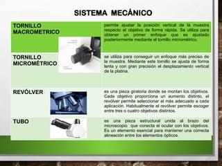 SISTEMA MECÁNICO
TORNILLO
MACROMETRICO
permite ajustar la posición vertical de la muestra
respecto el objetivo de forma rápida. Se utiliza para
obtener un primer enfoque que es ajustado
posteriormente mediante el tornillo micrométrico.
TORNILLO
MICROMÉTRICO
se utiliza para conseguir un enfoque más preciso de
la muestra. Mediante este tornillo se ajusta de forma
lenta y con gran precisión el desplazamiento vertical
de la platina.
REVÓLVER es una pieza giratoria donde se montan los objetivos.
Cada objetivo proporciona un aumento distinto, el
revólver permite seleccionar el más adecuado a cada
aplicación. Habitualmente el revólver permite escoger
entre tres o cuatro objetivos distintos.
TUBO es una pieza estructural unida al brazo del
microscopio que conecta el ocular con los objetivos.
Es un elemento esencial para mantener una correcta
alineación entre los elementos ópticos.
 