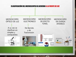 CLASIFICACIÓN DEL MICROSCOPIO DE ACUERDO A LA FUENTE DE LUZ
MICROSCOPIO
ÓPTICO DE LUZ
MICROSCOPIO
ELECTRONICO
MICROSCOPIO
DE EFECTO
TÚNEL
MICROSCOPIO
DE FUERZA
ATÓMICA
A su vez se
clasifican en
simples y
compuestos
De Barrido
y de
Transmisión
 