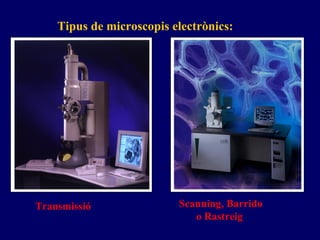 Tip u s de  microscopis electrònics : Transmis s ió Scanning ,  Barrido  o Rastreig   