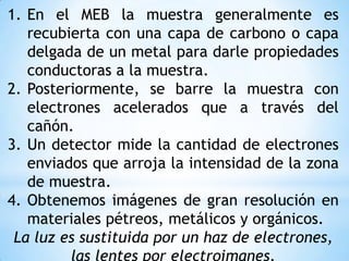 1. En el MEB la muestra generalmente es
recubierta con una capa de carbono o capa
delgada de un metal para darle propiedades
conductoras a la muestra.
2. Posteriormente, se barre la muestra con
electrones acelerados que a través del
cañón.
3. Un detector mide la cantidad de electrones
enviados que arroja la intensidad de la zona
de muestra.
4. Obtenemos imágenes de gran resolución en
materiales pétreos, metálicos y orgánicos.
La luz es sustituida por un haz de electrones,
 