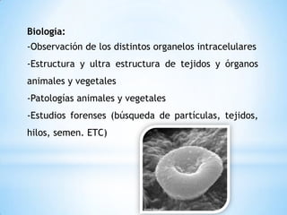 Biología:
-Observación de los distintos organelos intracelulares
-Estructura y ultra estructura de tejidos y órganos
animales y vegetales
-Patologías animales y vegetales
-Estudios forenses (búsqueda de partículas, tejidos,
hilos, semen. ETC)
 
