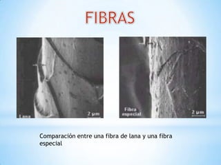 Comparación entre una fibra de lana y una fibra
especial
 