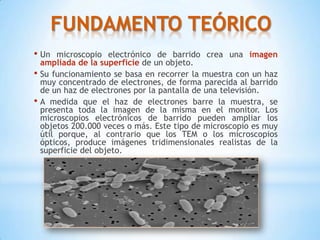 FUNDAMENTO TEÓRICO
• Un microscopio electrónico de barrido crea una imagen
ampliada de la superficie de un objeto.
• Su funcionamiento se basa en recorrer la muestra con un haz
muy concentrado de electrones, de forma parecida al barrido
de un haz de electrones por la pantalla de una televisión.
• A medida que el haz de electrones barre la muestra, se
presenta toda la imagen de la misma en el monitor. Los
microscopios electrónicos de barrido pueden ampliar los
objetos 200.000 veces o más. Este tipo de microscopio es muy
útil porque, al contrario que los TEM o los microscopios
ópticos, produce imágenes tridimensionales realistas de la
superficie del objeto.
 